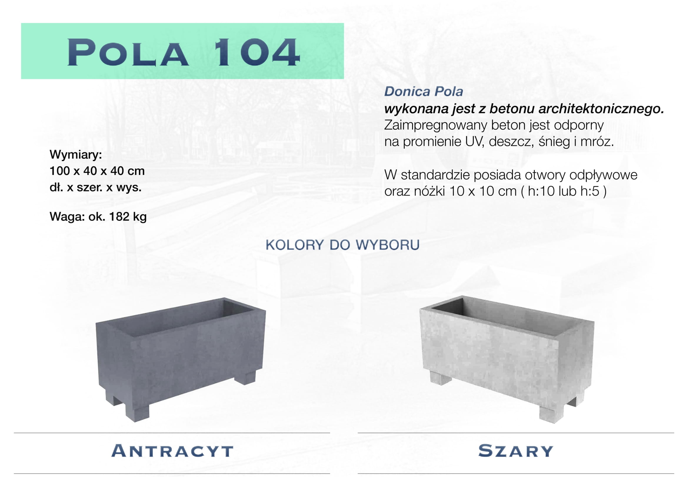 Pola-02