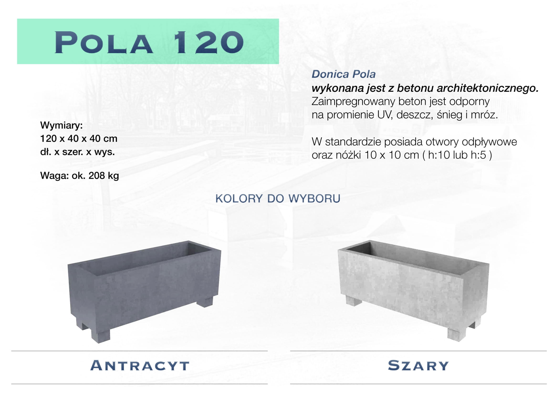 Pola-04